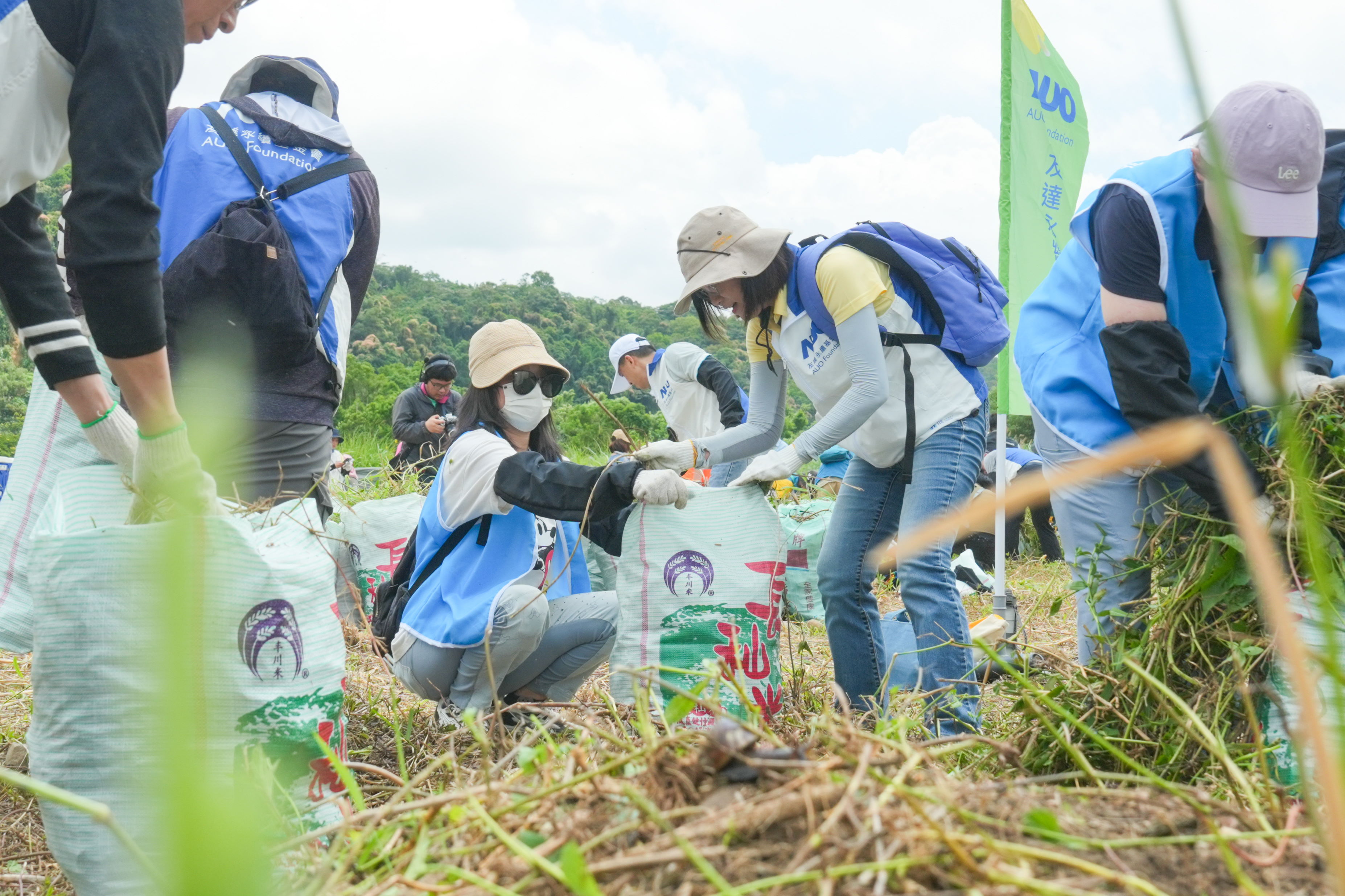 VR彩票除蔓防治計畫，除了鎖定霄裡溪沿岸3.2公里移除外來入侵種小花蔓澤蘭，並進行物種與空拍調查，共記錄91科181屬239種維管束植物，顯示該區域具高度生態價值